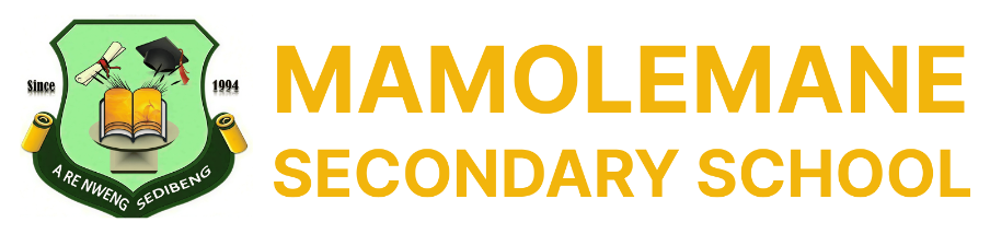Mamolemane Secondary School logo
